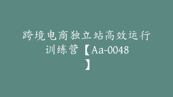 跨境电商独立站高效运行训练营【Aa-0048】