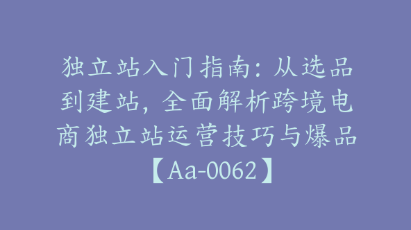 独立站入门指南：从选品到建站，全面解析跨境电商独立站运营技巧与爆品【Aa-0062】
