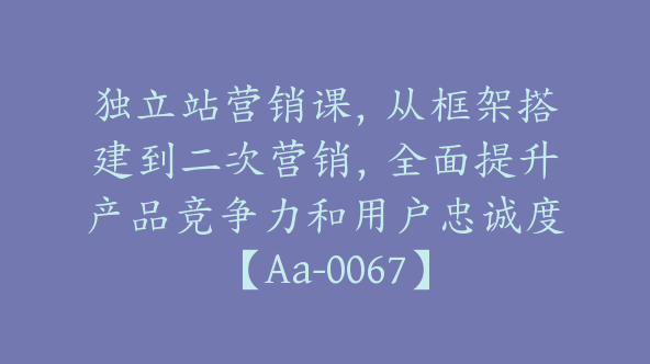 独立站营销课，从框架搭建到二次营销，全面提升产品竞争力和用户忠诚度【Aa-0067】