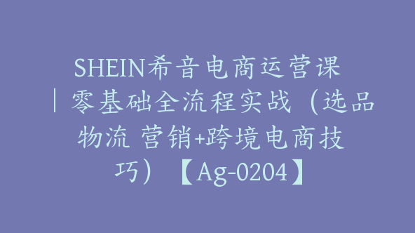 SHEIN希音电商运营课｜零基础全流程实战（选品 物流 营销+跨境电商技巧）【Ag-0204】