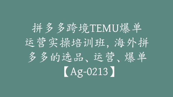 拼多多跨境TEMU爆单运营实操培训班，海外拼多多的选品、运营、爆单【Ag-0213】