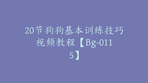 20节狗狗基本训练技巧视频教程【Bg-0115】