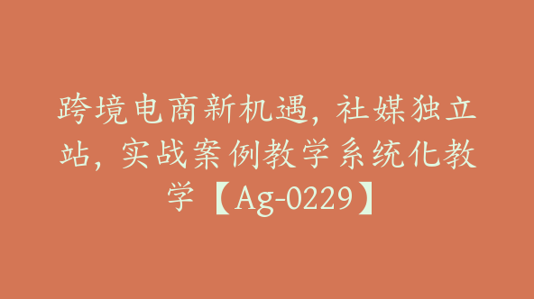 跨境电商新机遇，社媒独立站，实战案例教学系统化教学【Ag-0229】